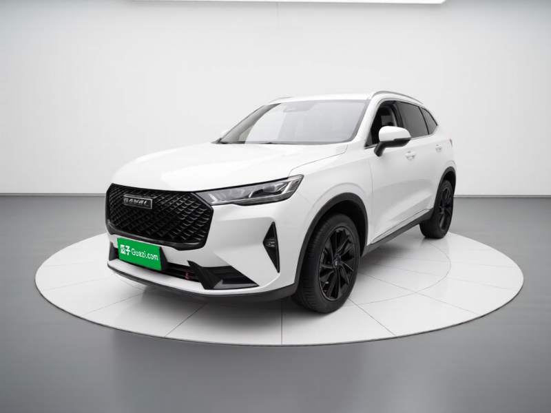 Used Haval H6 2021 3rd Generation 2.0T Automatic Two-Wheel Drive Max — 1