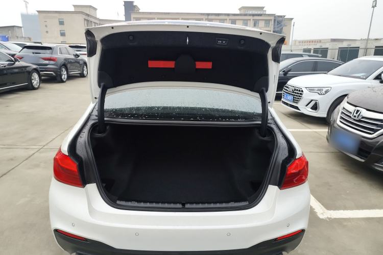 Used BMW 5 Series 2020 530Li Luxury Edition M Sport Package
