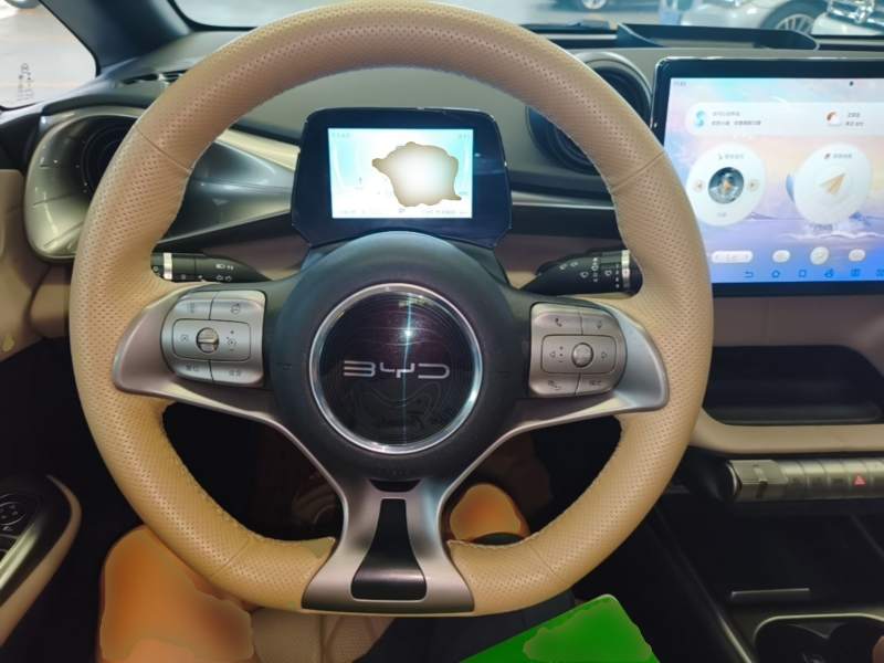 Used BYD Dolphin 2021 405 km Fashion Edition — 10