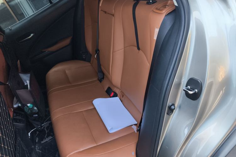 Used Lexus UX New Energy 2020 300e Pure·Joy Edition
