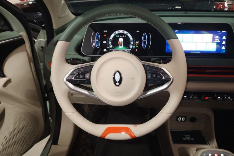 Used ORA Good Cat 2022 Morandi Edition 400km Standard Range Luxury Version Lithium-Ion Battery
