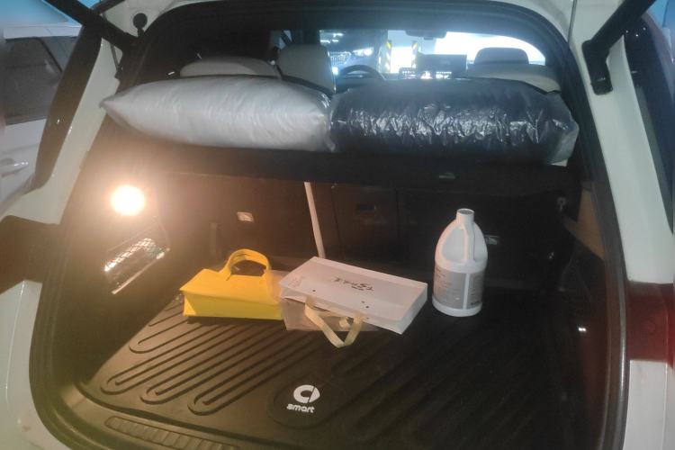 Used smart #1 2022 Pulse Heartbeat Edition Trunk