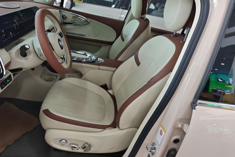 Used ORA Ballet Cat 2022 401 km Nutcracker Edition