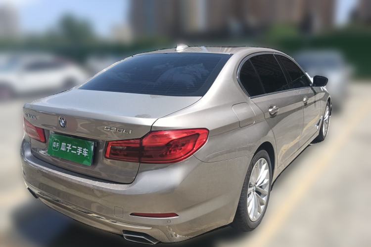 Used BMW 5 Series 2020 530Li Leading Edition Luxury Package