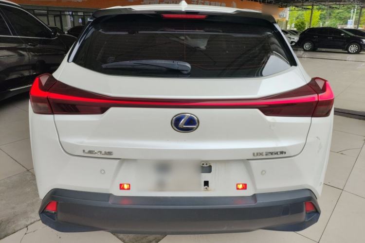Used Lexus UX 2020 260h Explore & Adventure Edition Rear