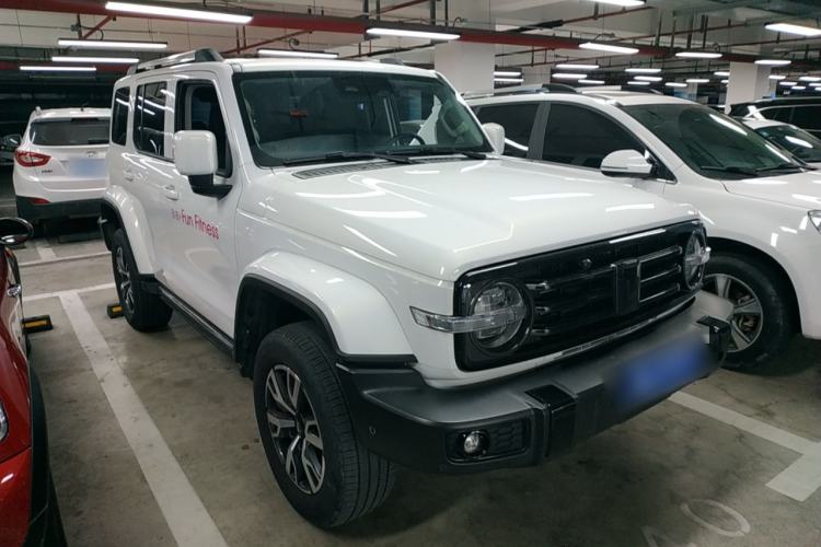 Used Tank 300 2024 2.0T Crosser
