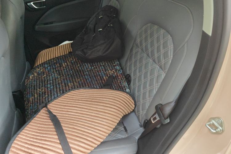 Used Leapmotor T03 2021 400 Comfort Edition Left Rear Seat