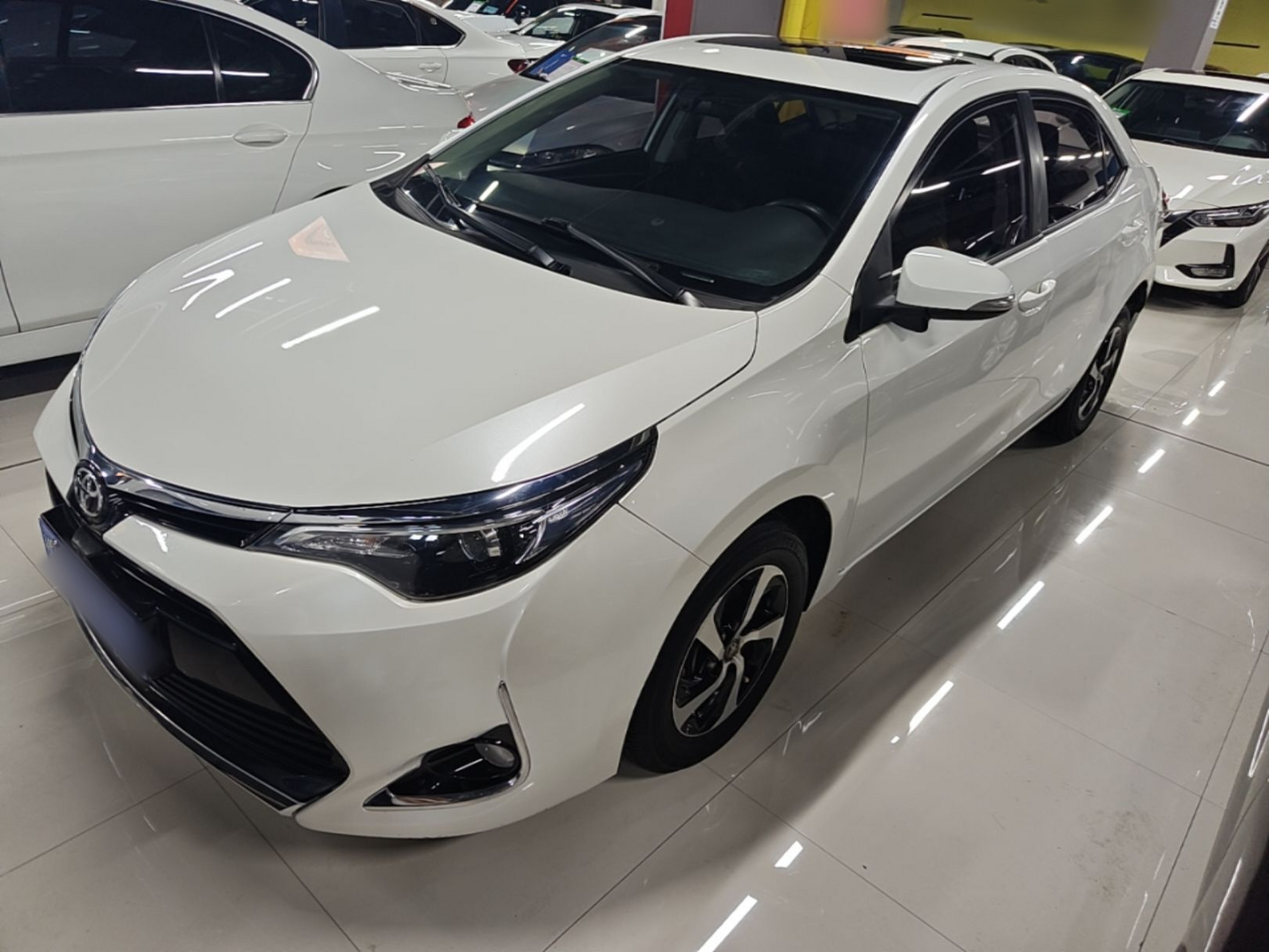 Under Front Bumper