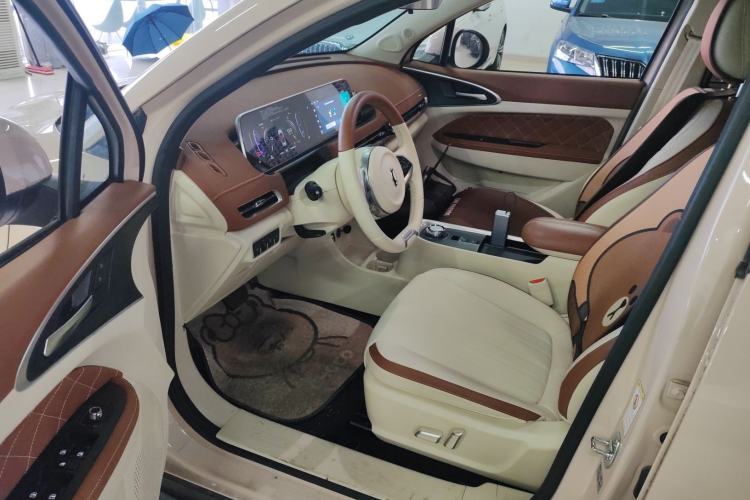 Used ORA Good Cat 2021 400km Standard Range Athena Edition Lithium-Ion Battery
