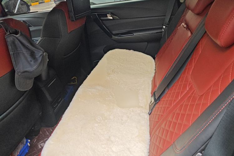 Used FORTHING T5L 2020 1.5T Automatic Luxury 7-Seater China VI Standard