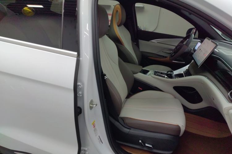 Used BYD Song Pro New Energy 2022 DM-i 110km Flagship Pro Model Right Front Seat