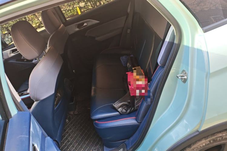 Used Geometry E Firefly 2022 401 km Linglong Tiger 4 Seats