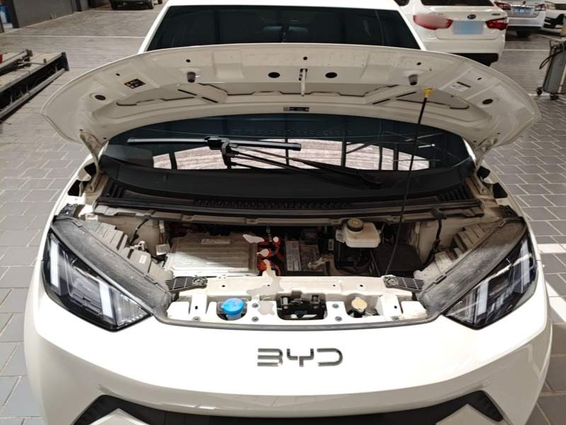 Used BYD Seagull 2025 305km Active Version — 19