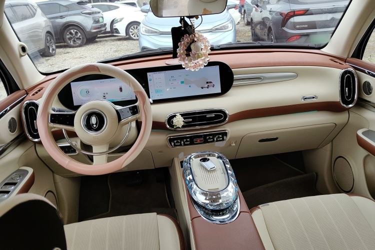 Used ORA Ballet Cat 2023 401 km Luxury Version
