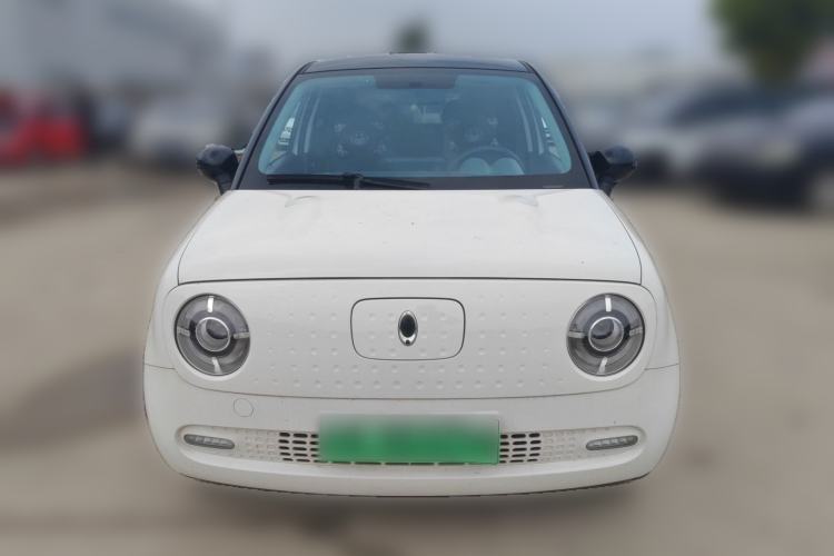 Used ORA Black Cat 2021 351 km Standard Version Front