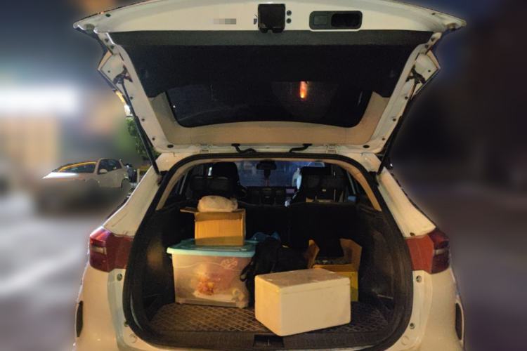 Used WM Motor EX5 2019 EX5 Mate Weymeng Edition 400