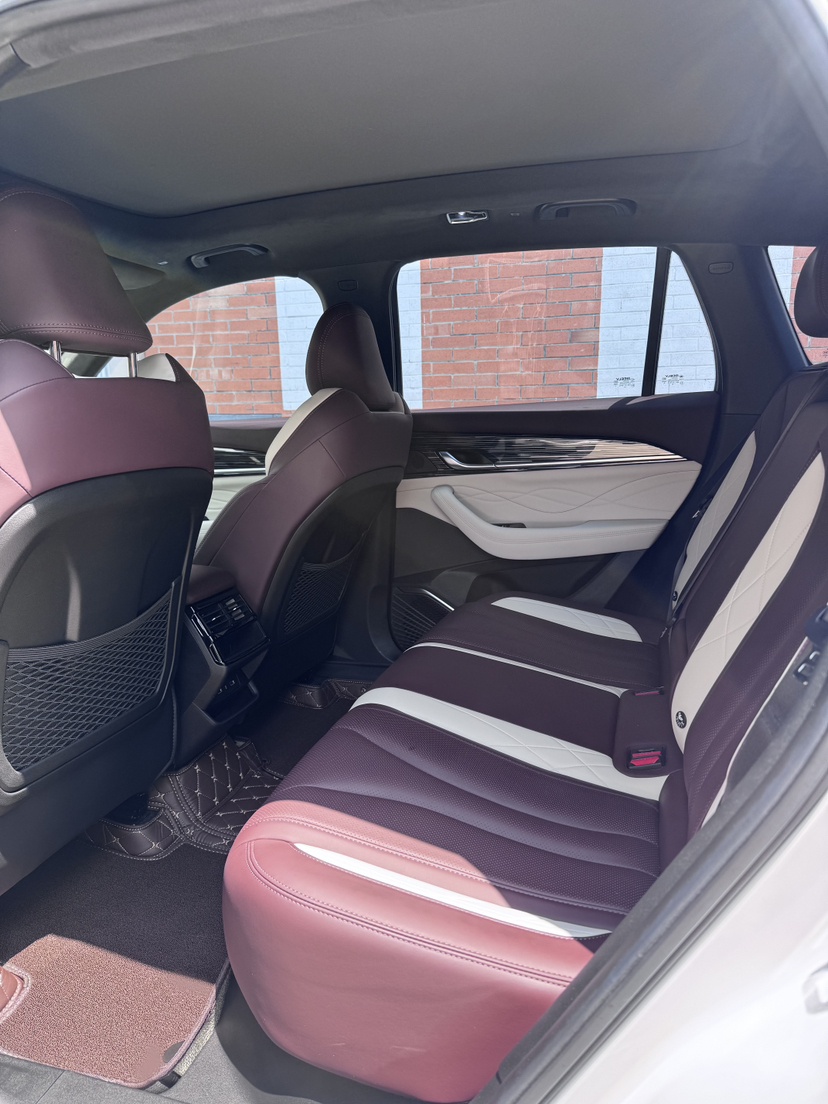 Geely Auto Monjaro L 2021 2.0TD DCT EVO Two-Wheel Drive Prestige Version — снимка 12