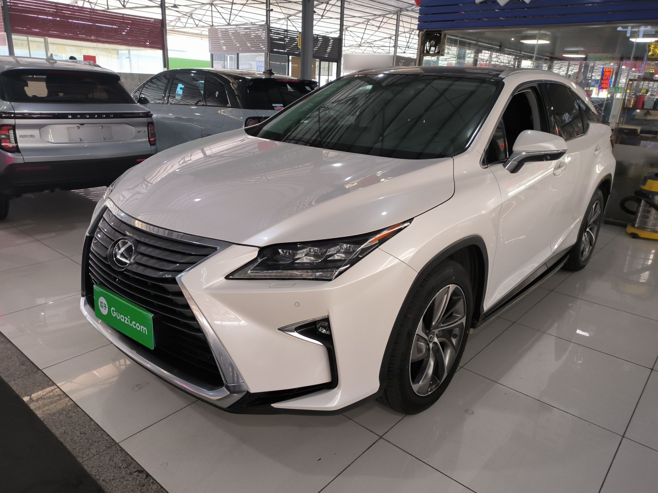 Parte inferior delantera