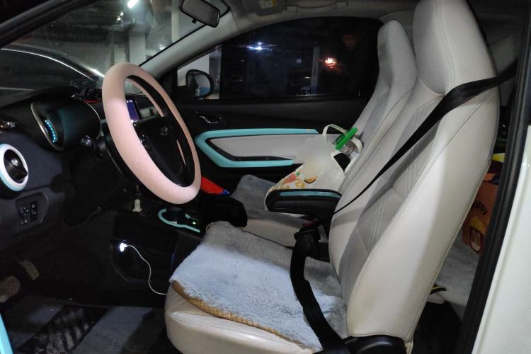 Used Chery Little Ant 2021 200 000 Yuan "Ant Fan" Edition Energized Version NMC Lithium Battery 301 km