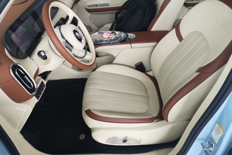 Used ORA Ballet Cat 2023 401 km Luxury Version Left Front Seat