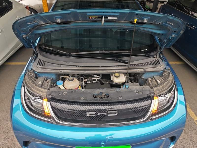 Used BYD Dolphin 2021 405 km Fashion Edition — 19