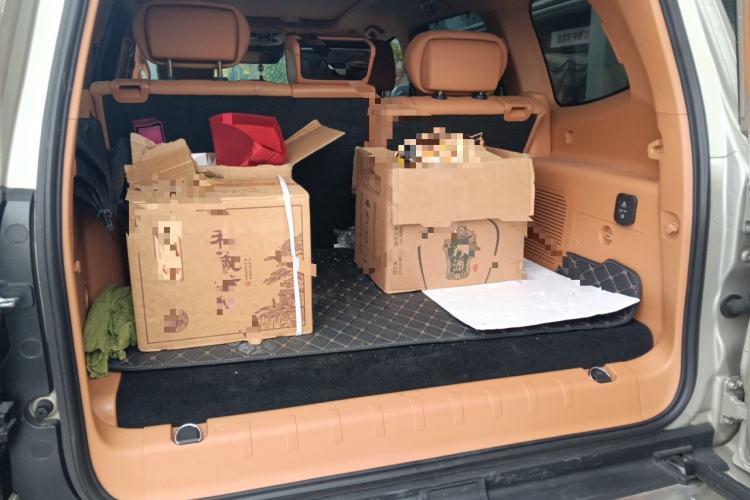 Used Tank 500 New Energy 2023 Hi4-T
