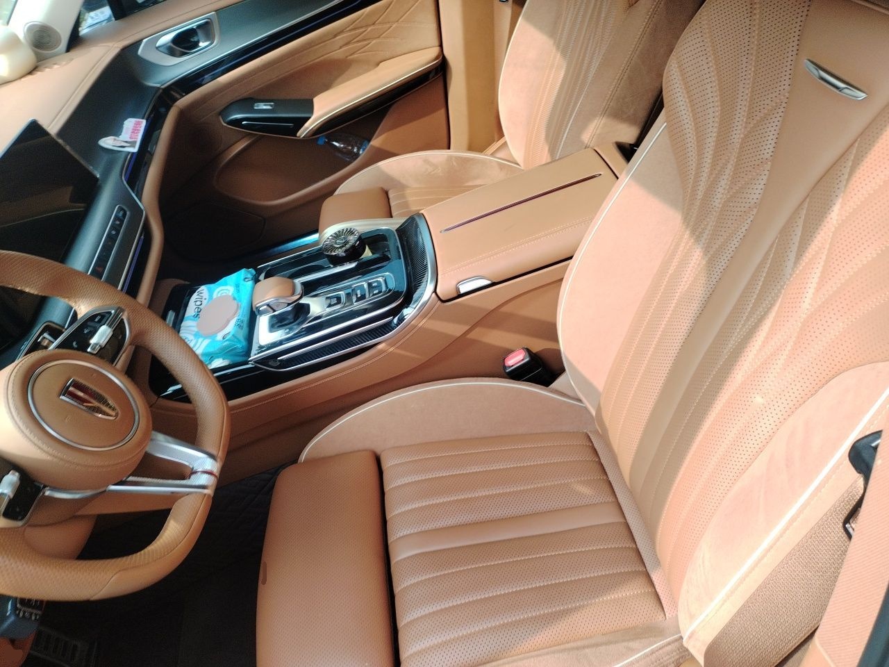 Hongqi H9 2024 2.0T Qichang Private Enjoyment Luxury Edition — снимка 15