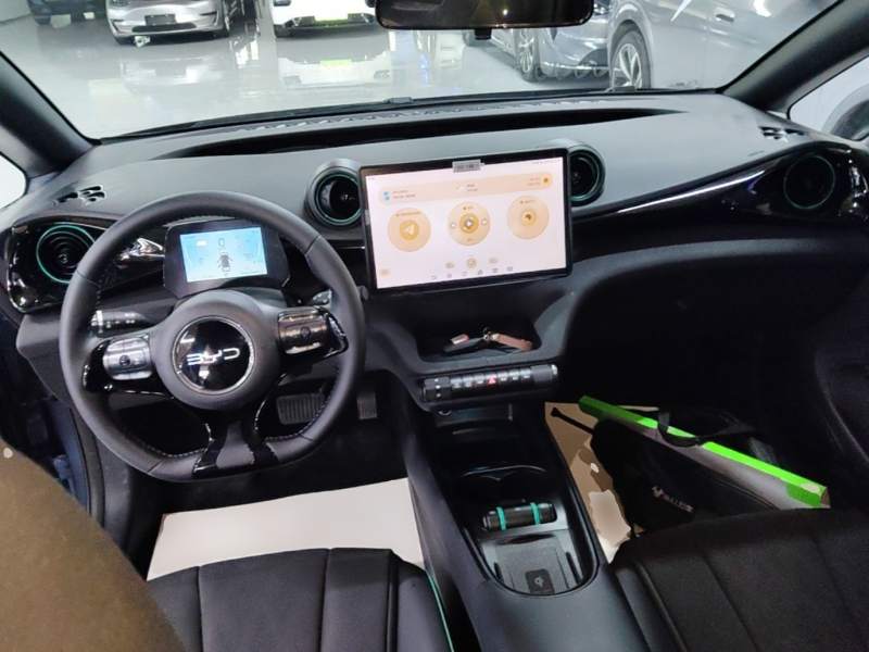 Used BYD Dolphin 2025 520km Range Knight Edition — 9