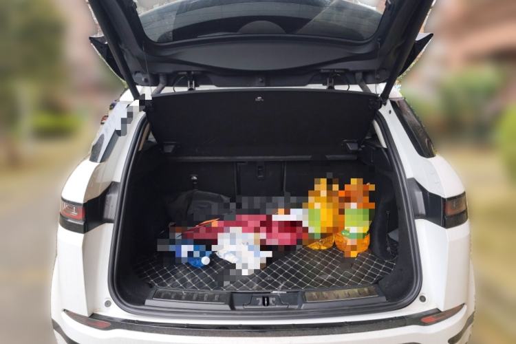 Used Land Rover Range Rover Evoque 2020 249 PS R-DYNAMIC SE Sport Technology Edition