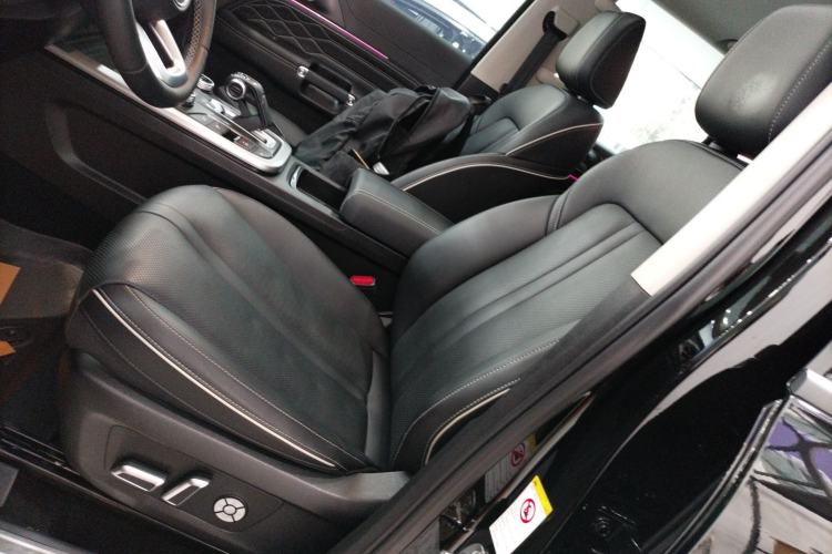 Used Tank 300 2024 2.0T Conqueror