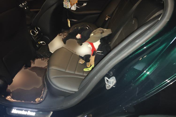 Used Mercedes-Benz C-Class 2021 C 260 L Sport Edition Left Rear Seat