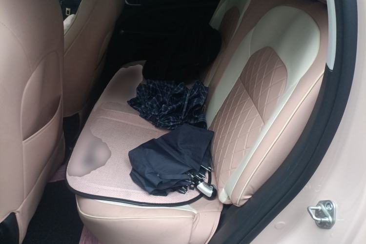 Used Leapmotor T03 2021 400 Lite Edition Lithium Iron Phosphate