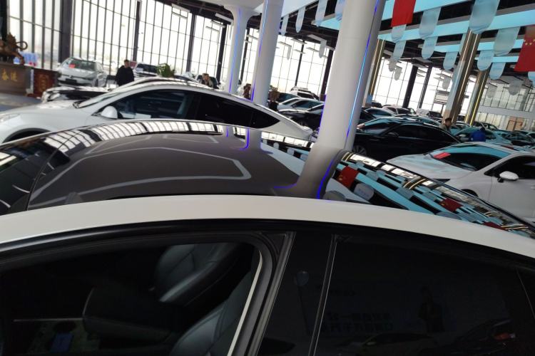 Used Tesla Model Y 2021 Standard Range Rear-Wheel Drive Version