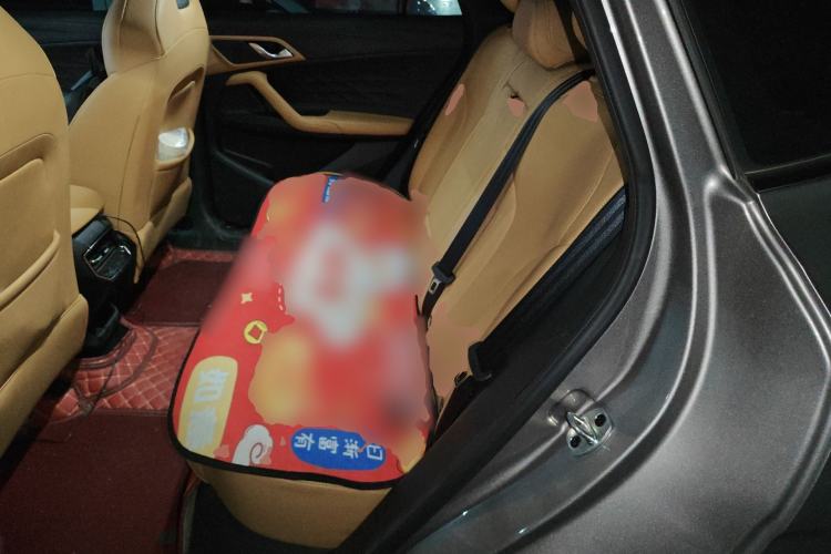 Used Roewe RX5 2023 1.5T Elite Edition Left Rear Seat