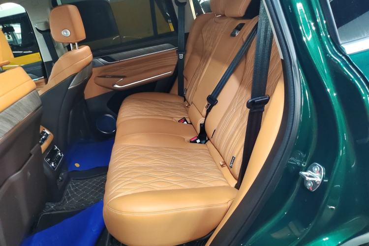 Used Tank 500 New Energy 2026 Model—Hi4-Z Smart Enjoyment Version Left Rear Seat