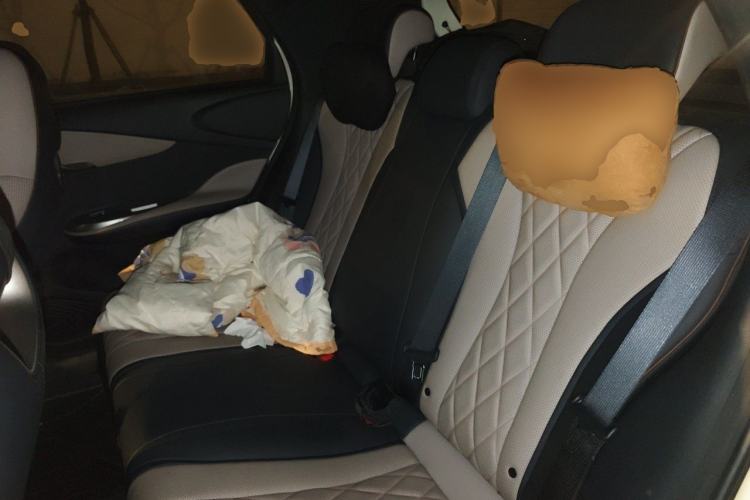Used BYD Dolphin 2021 405 km Free Version

