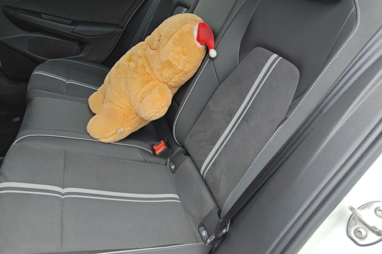 Used Volkswagen Golf 2024 280TSI DSG R-Line 50th Anniversary Edition Left Rear Seat