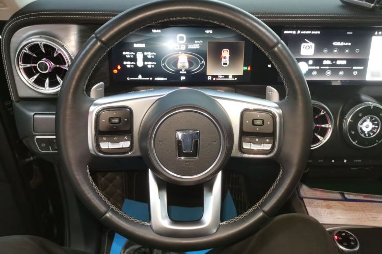 Used Tank 300 2024 2.0T Conqueror
