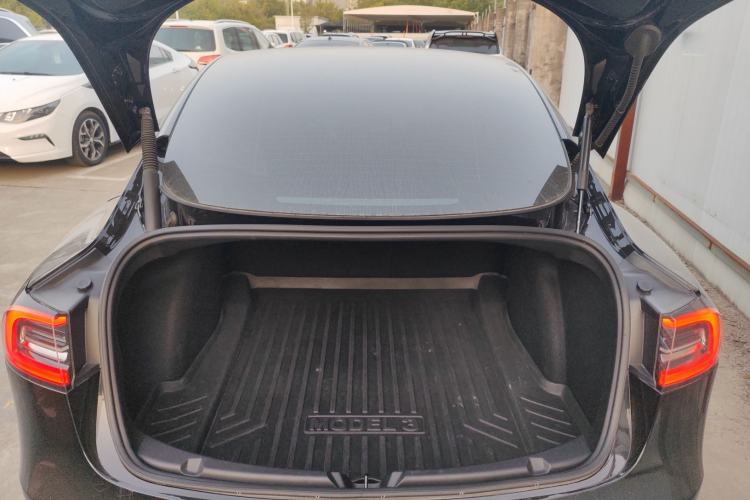 Used Tesla Model 3 2021 Performance High-Performance All-Wheel-Drive Version