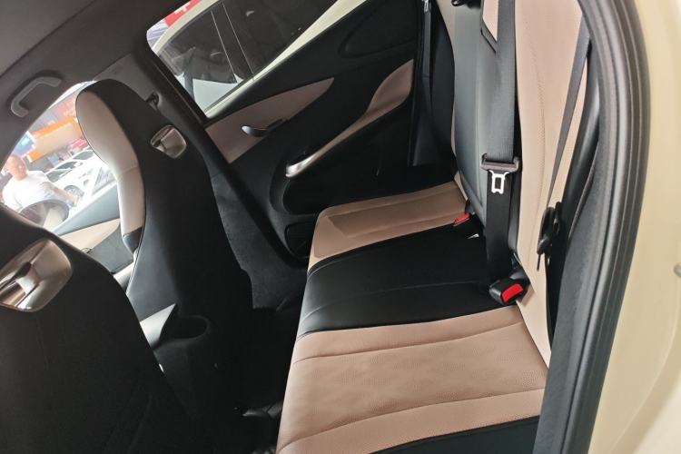 Used BYD Dolphin 2024 Honor Edition 420km Fashion Version Left Rear Seat