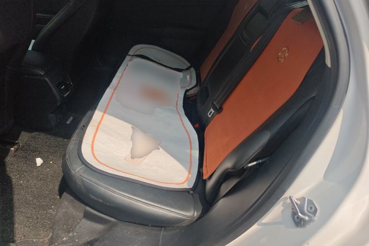 Used Ford Mondeo New Energy 2018 2.0 PHEV Smart-Control Luxury Version China V Standard
