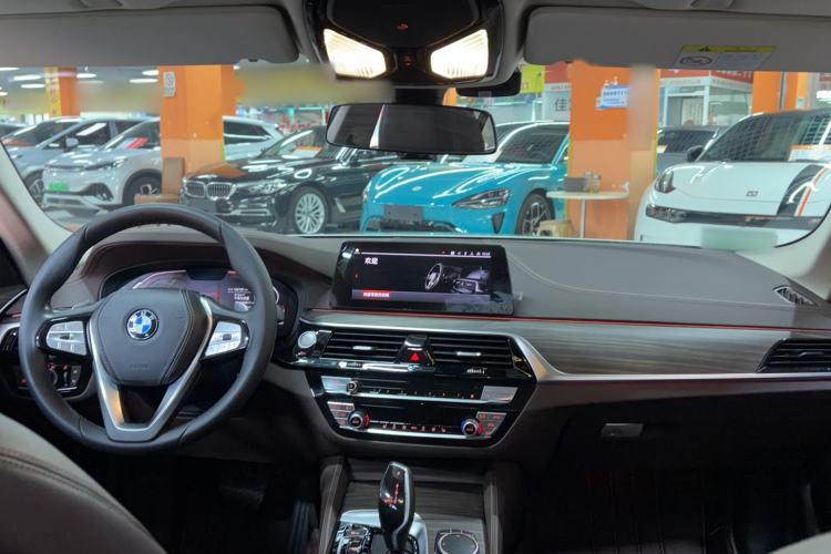 Used BMW 5 Series 2020 530Li Leading Edition Luxury Package