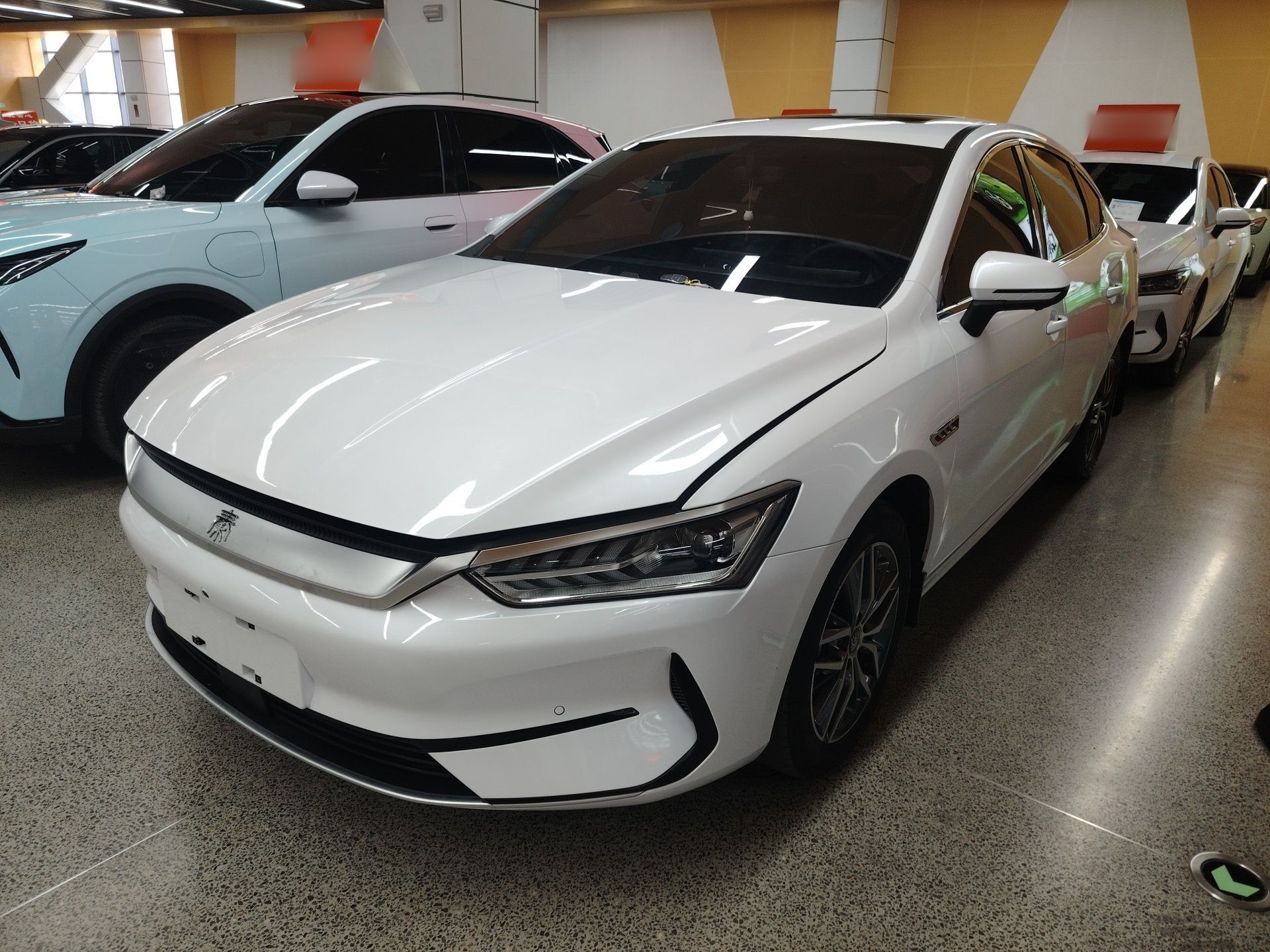 Parte inferior delantera