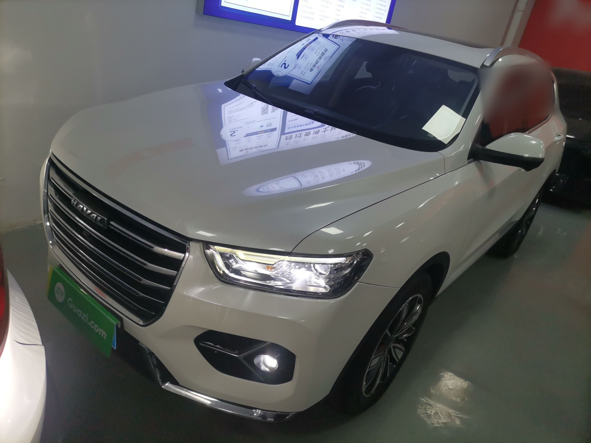 Parte inferior delantera