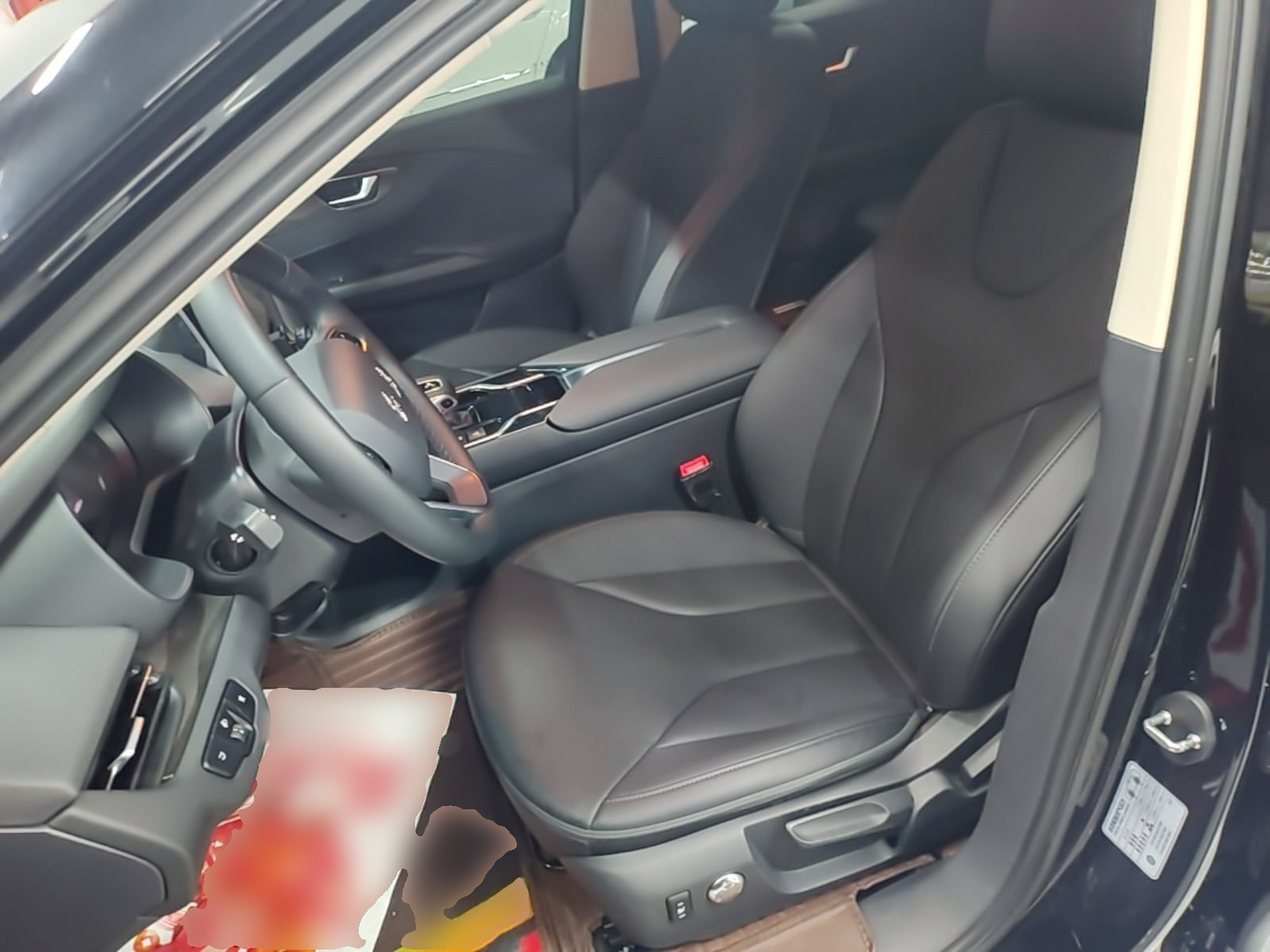 Interior delantero