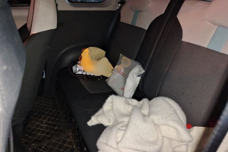 Used CHANGAN NEVO Lumin 2023 301km Honey Dew Edition Left Rear Seat