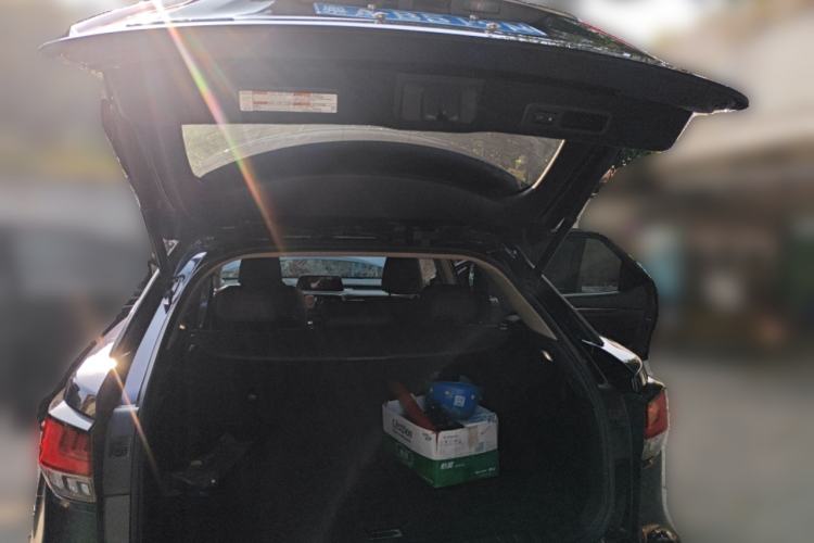 Used Lexus RX 2020 300 Two-Wheel Drive Comfort Edition China VI Standard