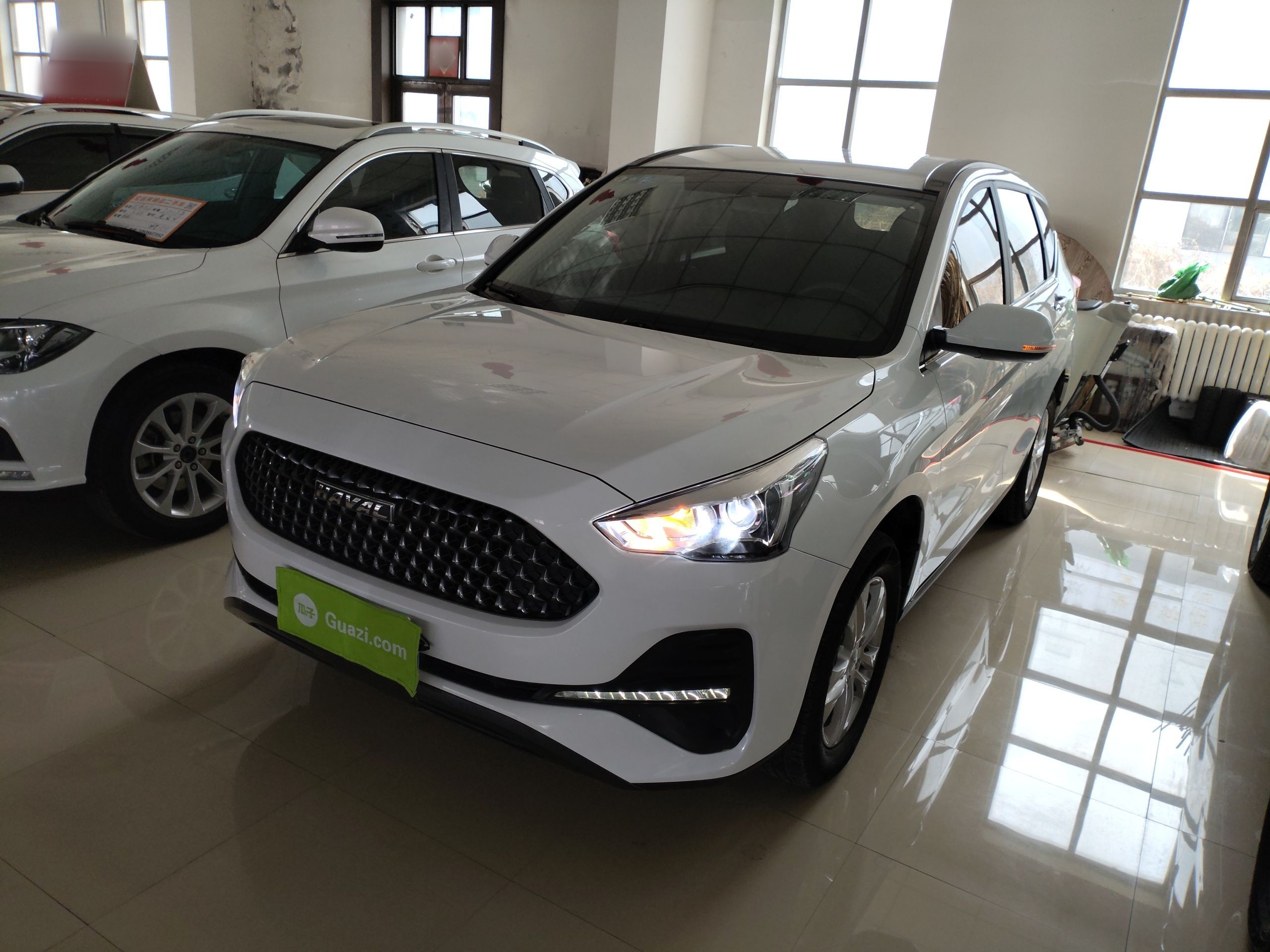 Parte inferior delantera