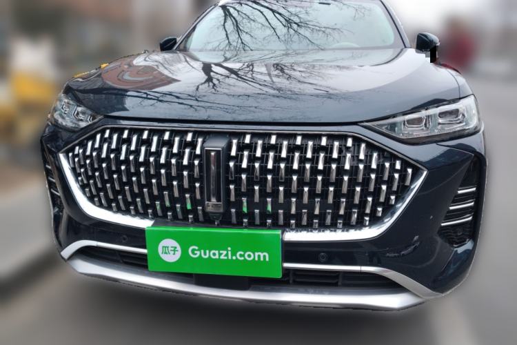 Used Wey Mocha 2021 2.0T Two-Wheel-Drive Premium Edition
