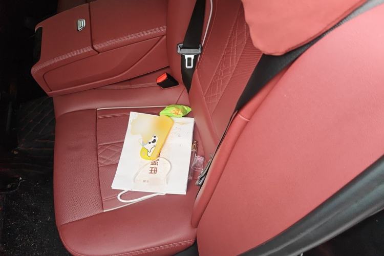 Used BMW 5 Series 2021 530Li Leading Model M Sport Package
